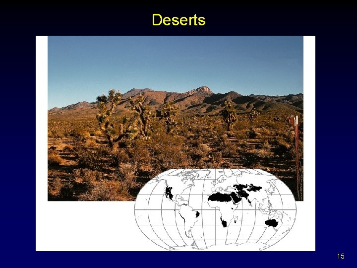 Deserts 15 