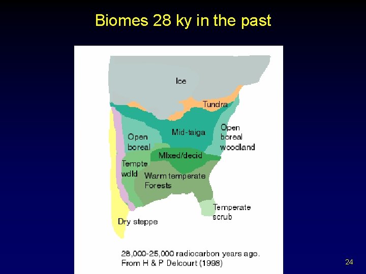 Biomes 28 ky in the past 24 