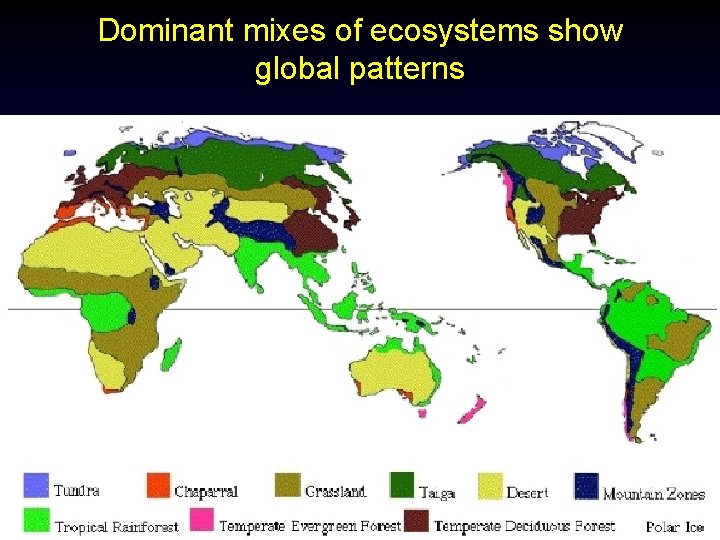Dominant mixes of ecosystems show global patterns 5 