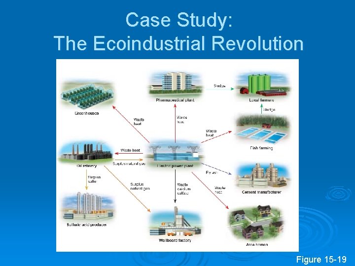 Case Study: The Ecoindustrial Revolution Figure 15 -19 