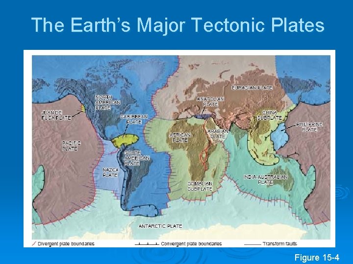 The Earth’s Major Tectonic Plates Figure 15 -4 