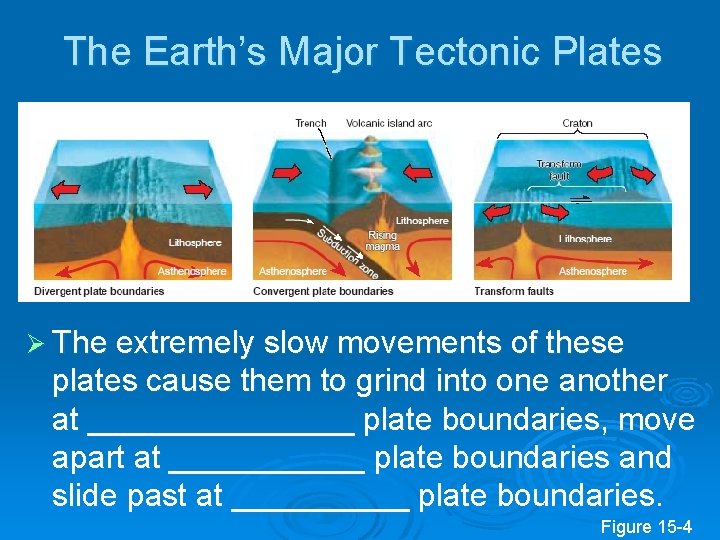 The Earth’s Major Tectonic Plates Ø The extremely slow movements of these plates cause