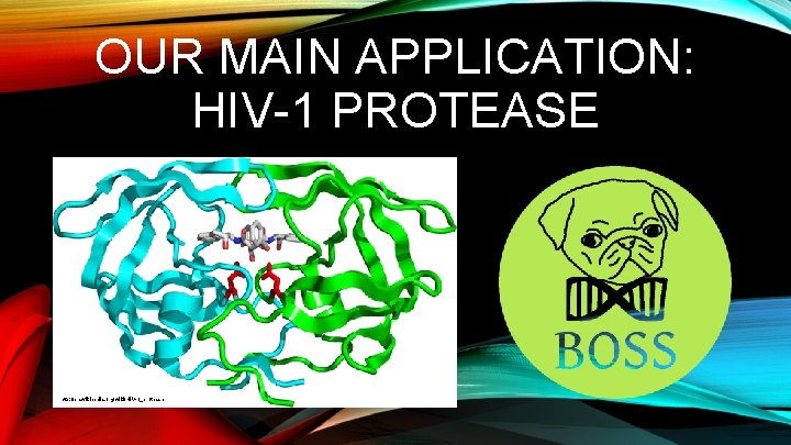 OUR MAIN APPLICATION: HIV-1 PROTEASE http: //en. wikipedia. org/wiki/HIV-1_protease 