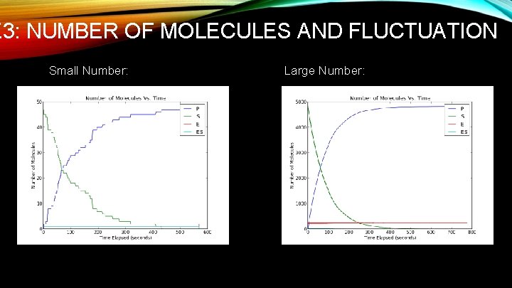 E 3: NUMBER OF MOLECULES AND FLUCTUATION Small Number: Large Number: 