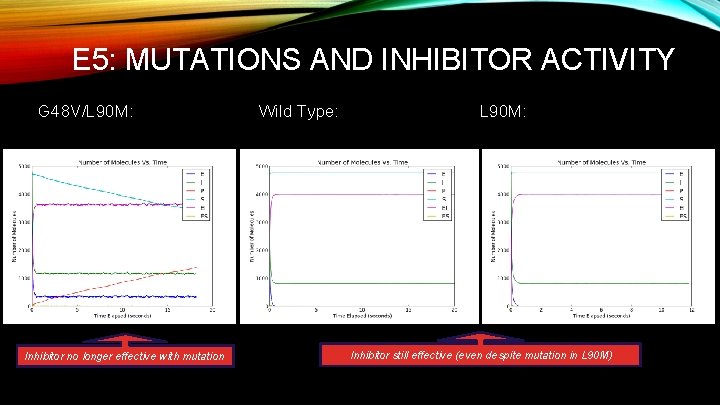 E 5: MUTATIONS AND INHIBITOR ACTIVITY G 48 V/L 90 M: A lot of