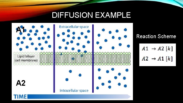 DIFFUSION EXAMPLE A 1 A 2 Reaction Scheme 
