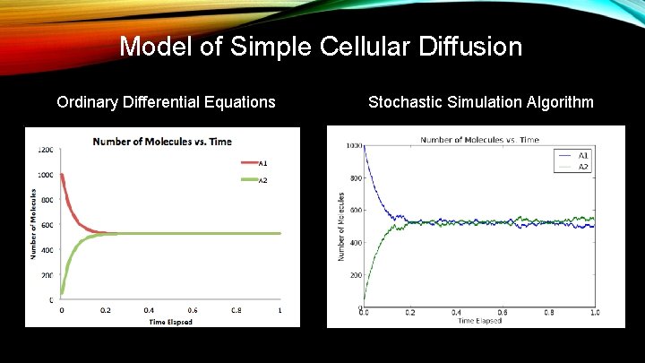 Model of Simple Cellular Diffusion Ordinary Differential Equations Stochastic Simulation Algorithm 