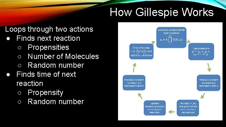 How Gillespie Works Loops through two actions ● Finds next reaction ○ Propensities ○