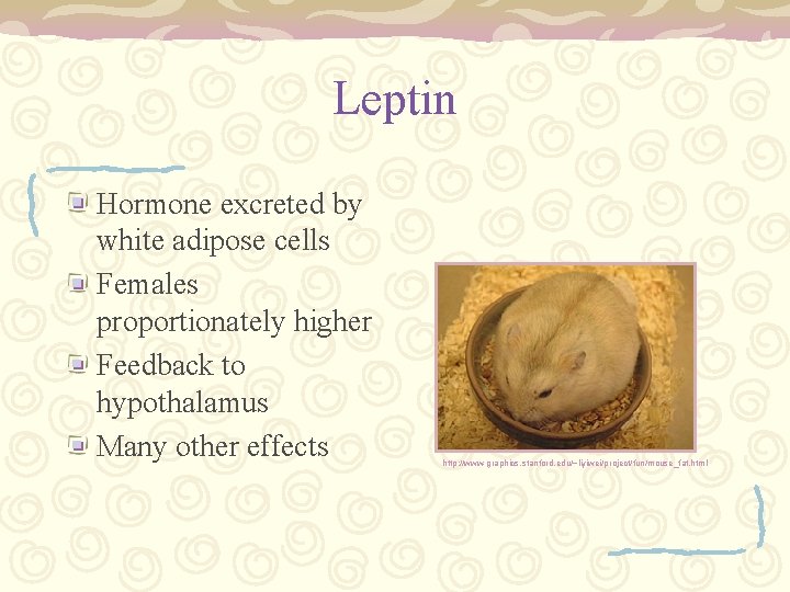 Leptin Hormone excreted by white adipose cells Females proportionately higher Feedback to hypothalamus Many