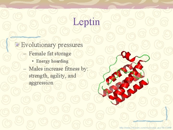 Leptin Evolutionary pressures – Female fat storage • Energy hoarding – Males increase fitness