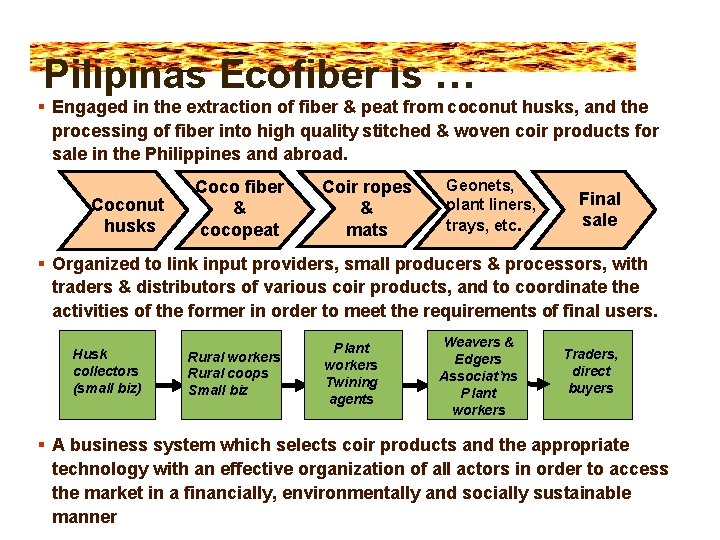Pilipinas Ecofiber is … Engaged in the extraction of fiber & peat from coconut