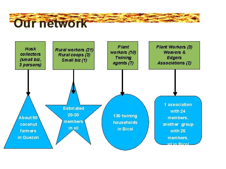 Our network Husk collectors (small biz, 3 persons) Rural workers (21) Rural coops (3)