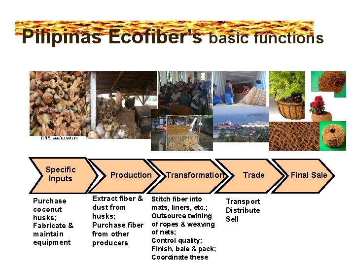 Pilipinas Ecofiber’s basic functions Specific Inputs Purchase coconut husks; Fabricate & maintain equipment Production