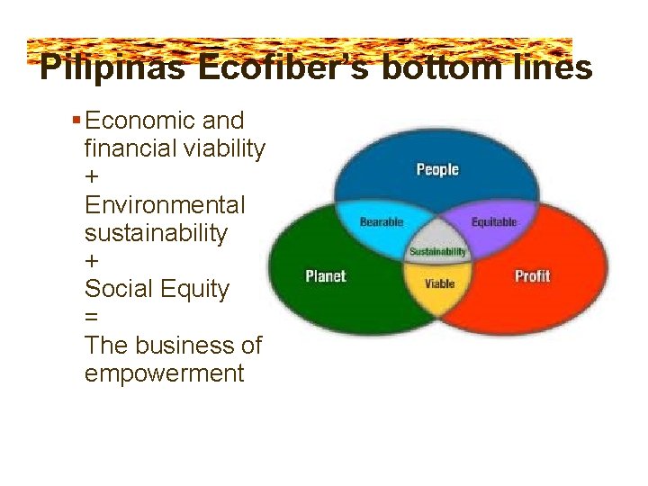 Pilipinas Ecofiber’s bottom lines Economic and financial viability + Environmental sustainability + Social Equity