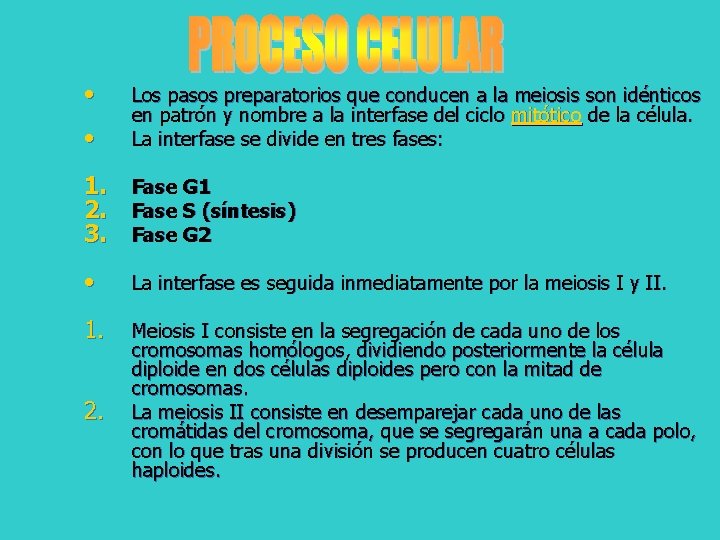  • • Los pasos preparatorios que conducen a la meiosis son idénticos en