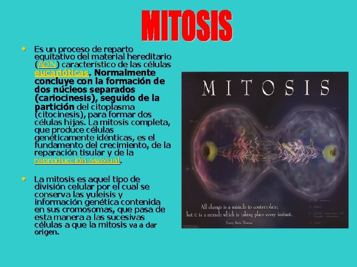  • Es un proceso de reparto equitativo del material hereditario (ADN) característico de