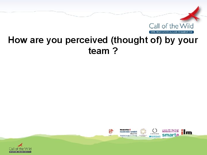 How are you perceived (thought of) by your team ? 