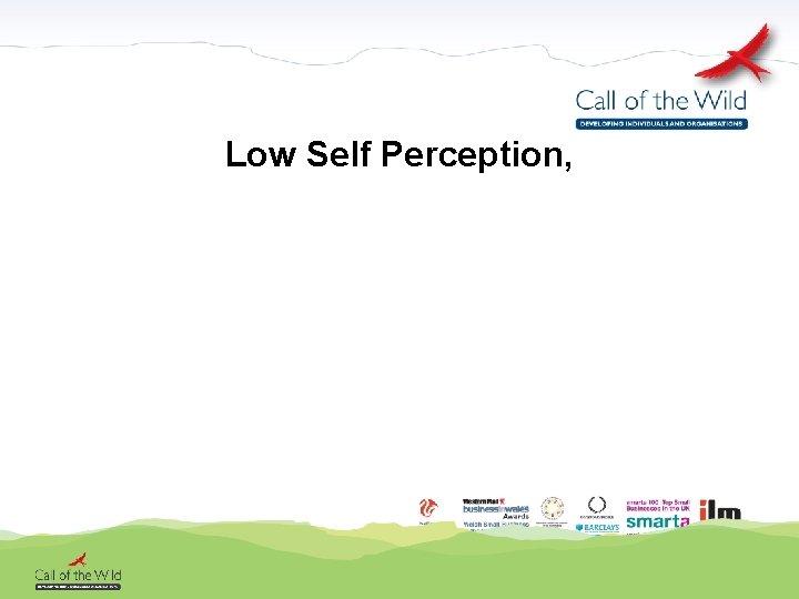 Low Self Perception, 