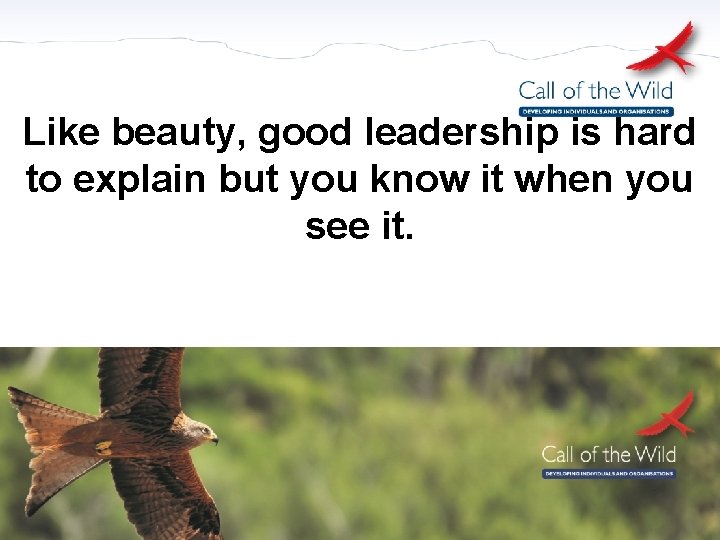 Like beauty, good leadership is hard to explain but you know it when you