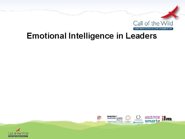 Emotional Intelligence in Leaders 