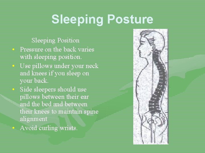 Sleeping Posture • • Sleeping Position Pressure on the back varies with sleeping position.