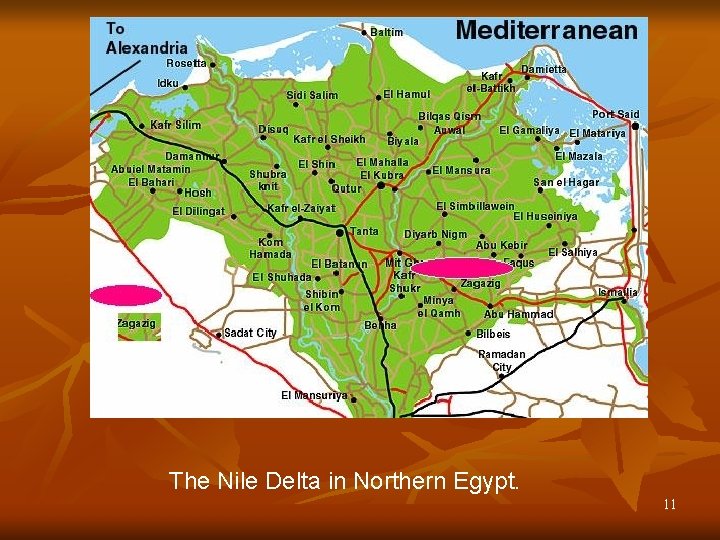 The Nile Delta in Northern Egypt. 11 
