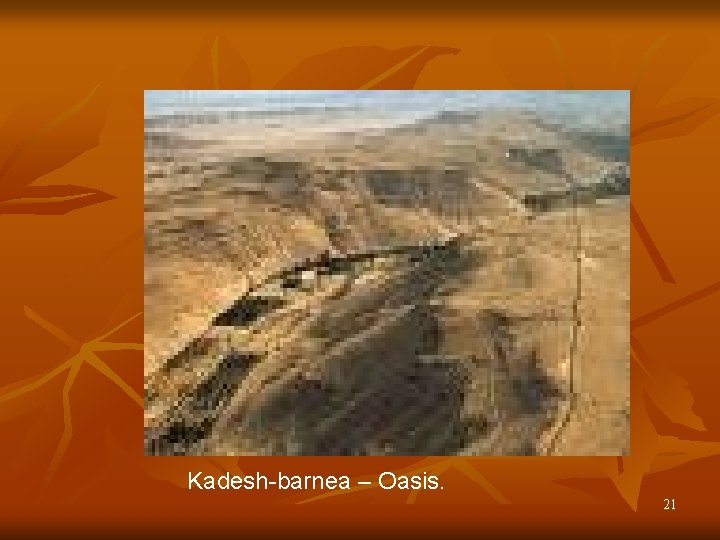 Kadesh-barnea – Oasis. 21 