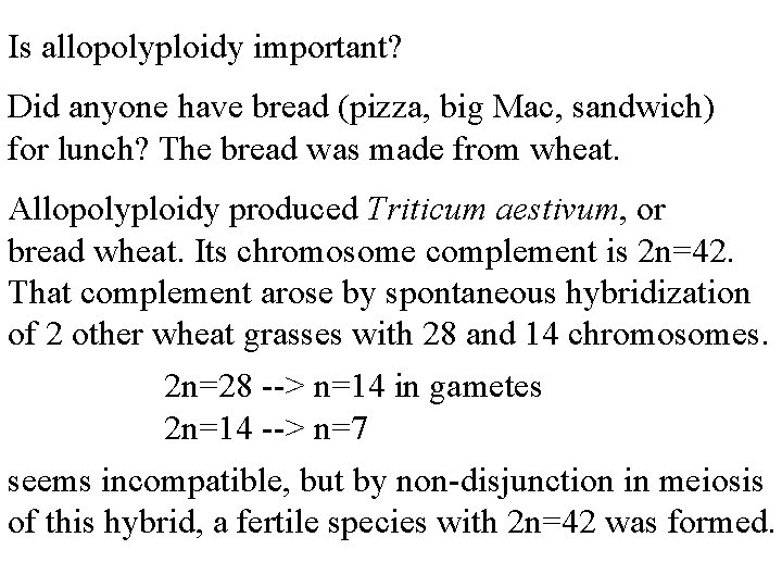 Is allopolyploidy important? Did anyone have bread (pizza, big Mac, sandwich) for lunch? The