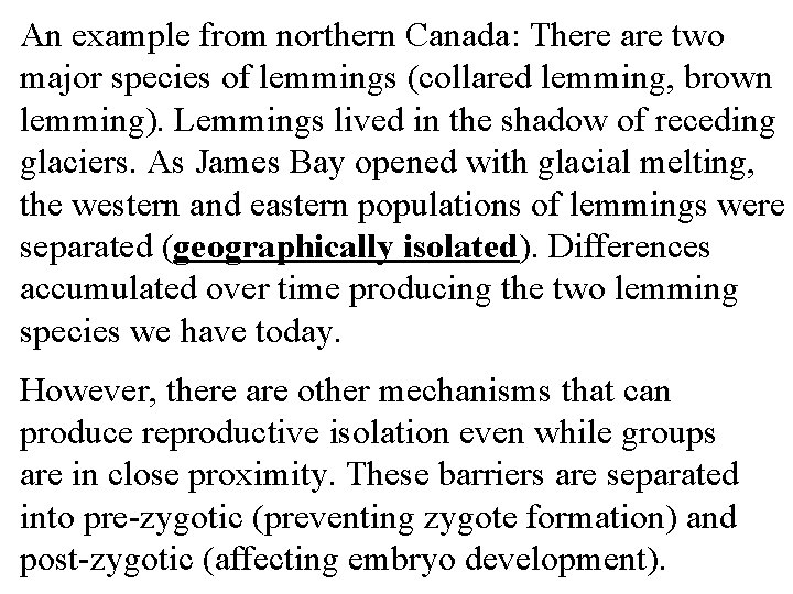 An example from northern Canada: There are two major species of lemmings (collared lemming,