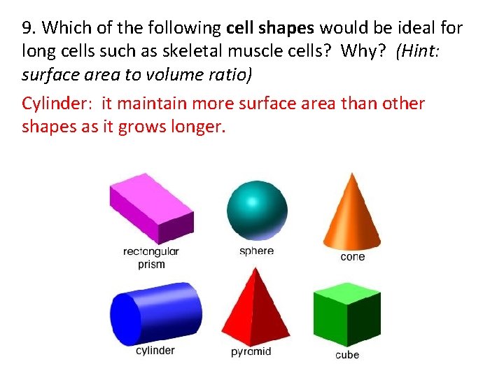 9. Which of the following cell shapes would be ideal for long cells such