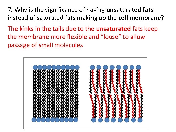 7. Why is the significance of having unsaturated fats instead of saturated fats making