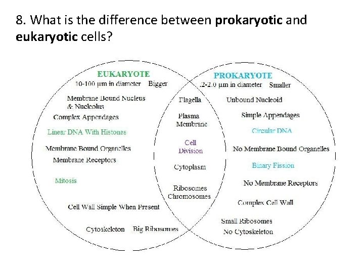 8. What is the difference between prokaryotic and eukaryotic cells? 