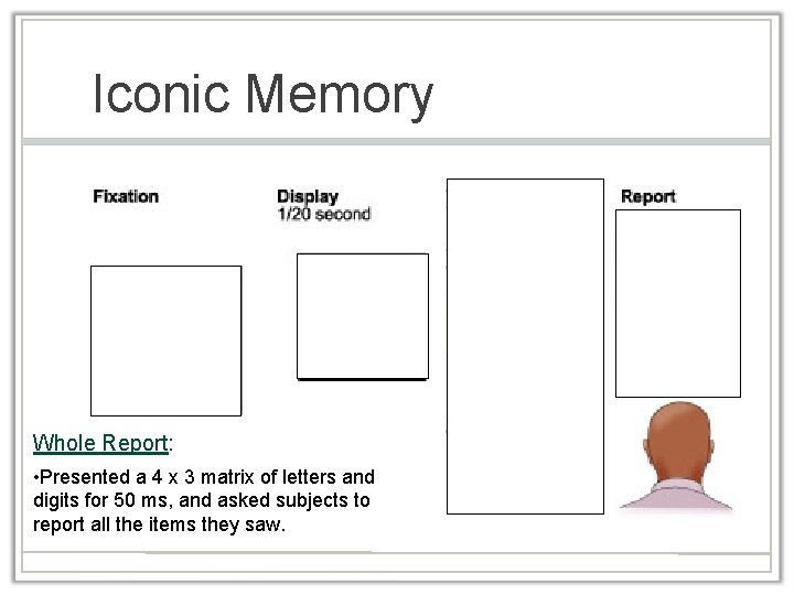 Iconic Memory 50 msec Whole Report: • Presented a 4 x 3 matrix of