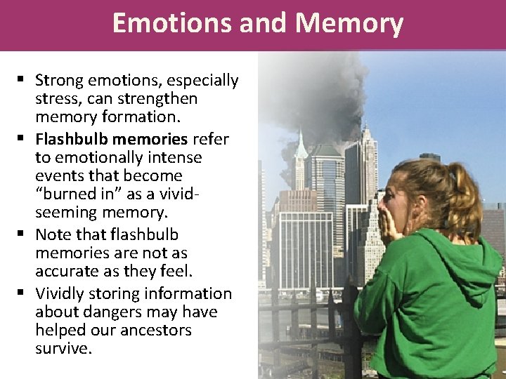Emotions and Memory § Strong emotions, especially stress, can strengthen memory formation. § Flashbulb