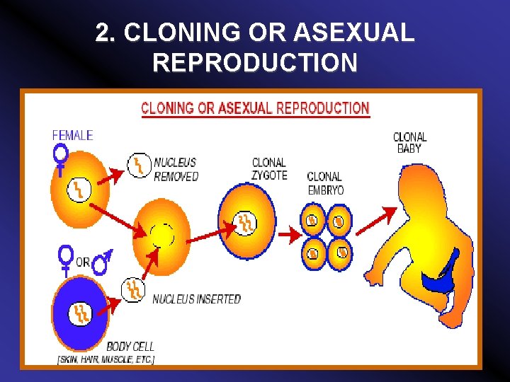 2. CLONING OR ASEXUAL REPRODUCTION 