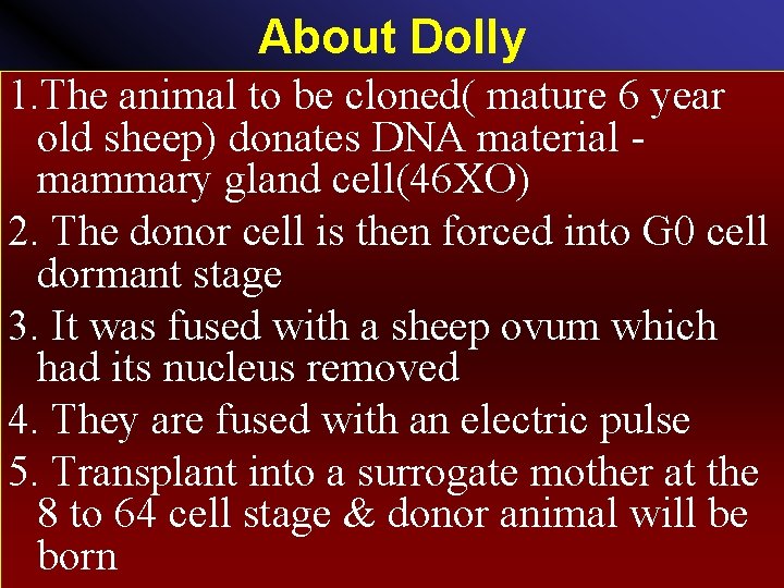 About Dolly 1. The animal to be cloned( mature 6 year old sheep) donates