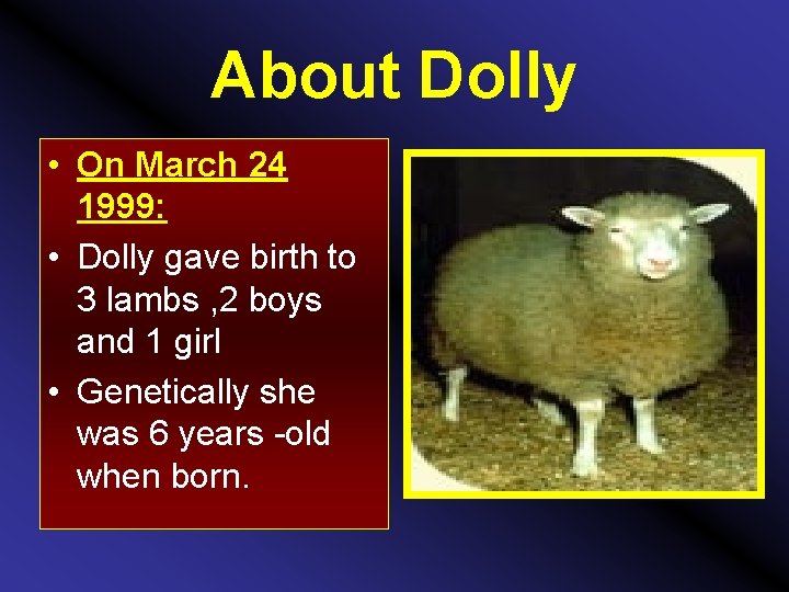 About Dolly • On March 24 1999: • Dolly gave birth to 3 lambs