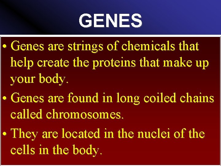 GENES • Genes are strings of chemicals that help create the proteins that make