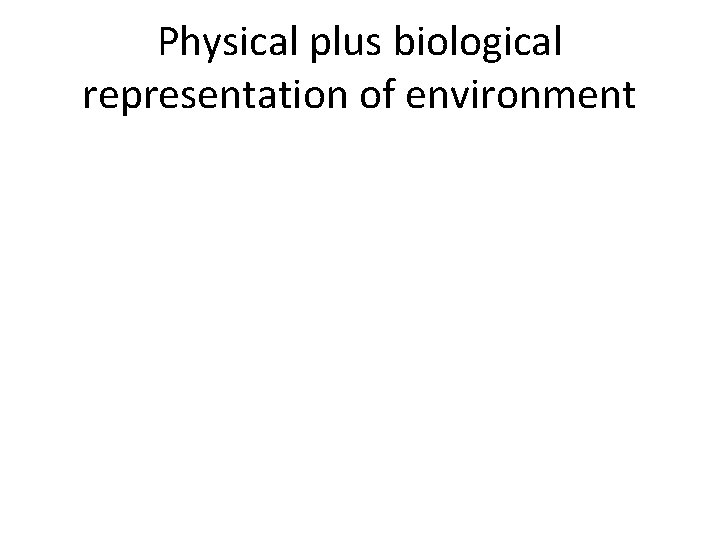 Physical plus biological representation of environment 