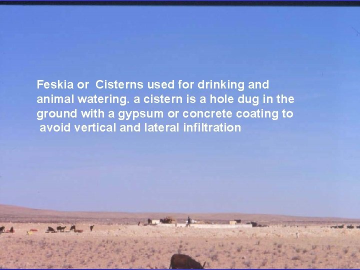 Feskia or Cisterns used for drinking and animal watering. a cistern is a hole