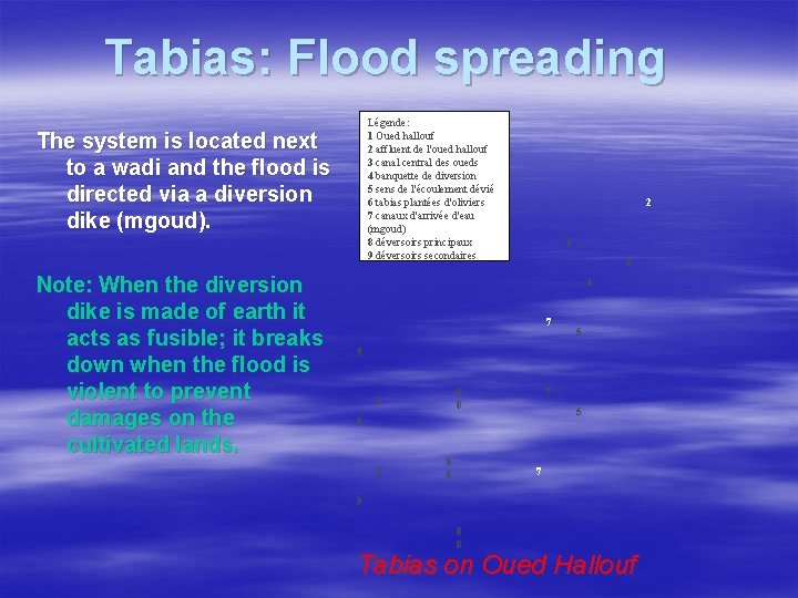 Tabias: Flood spreading Légende: 1 Oued hallouf 2 affluent de l'oued hallouf 3 canal