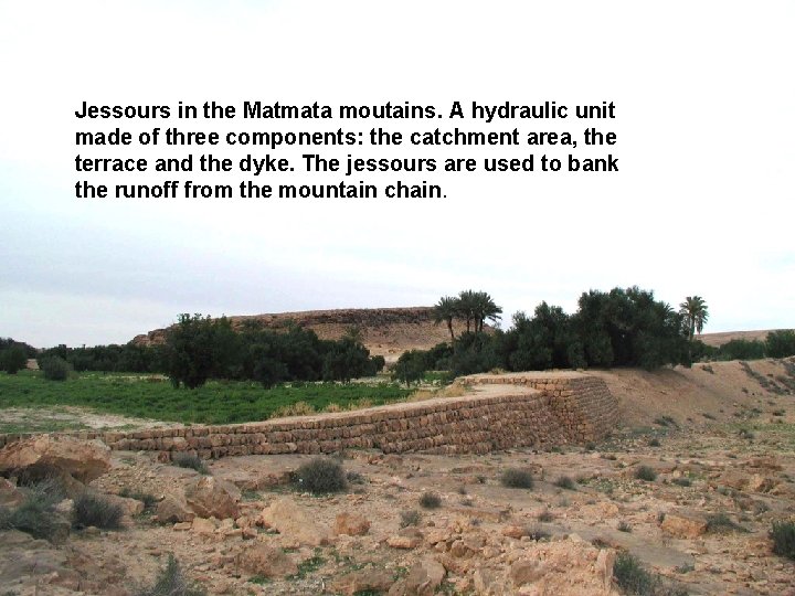 Jessours in the Matmata moutains. A hydraulic unit made of three components: the catchment
