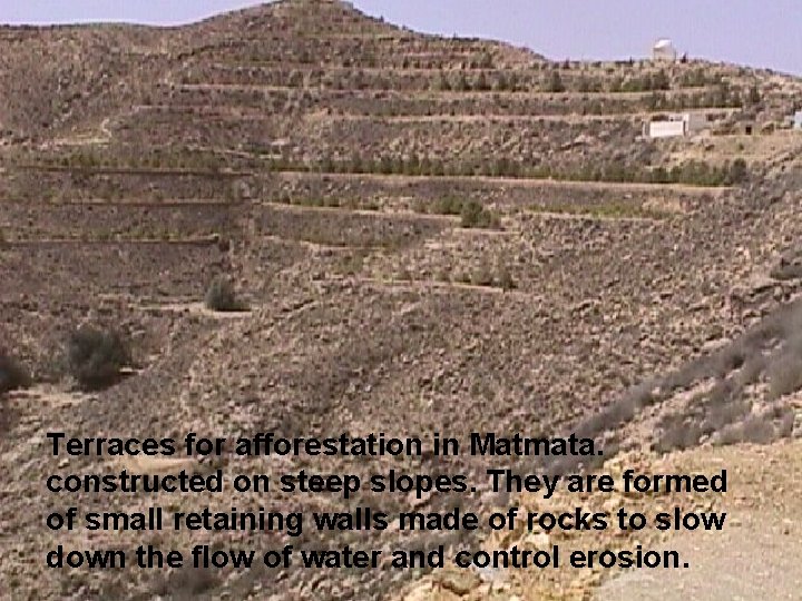 Terraces for afforestation in Matmata. constructed on steep slopes. They are formed of small