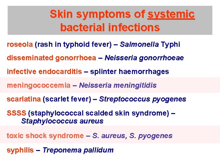 Skin symptoms of systemic bacterial infections roseola (rash in typhoid fever) – Salmonella Typhi