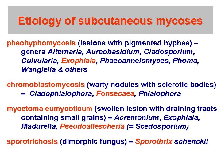 Etiology of subcutaneous mycoses pheohyphomycosis (lesions with pigmented hyphae) – genera Alternaria, Aureobasidium, Cladosporium,