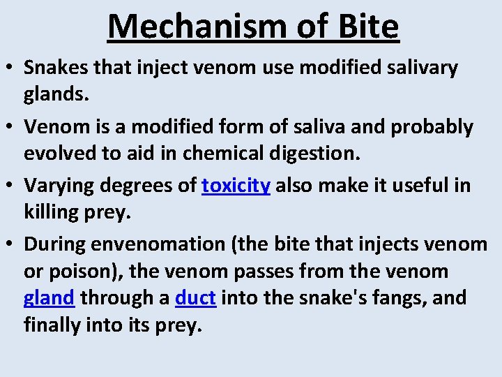  Mechanism of Bite • Snakes that inject venom use modified salivary glands. •