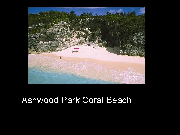 Ashwood Park Coral Beach 