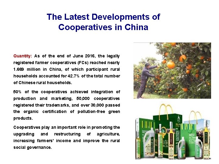 The Latest Developments of Cooperatives in China Quantity: As of the end of June