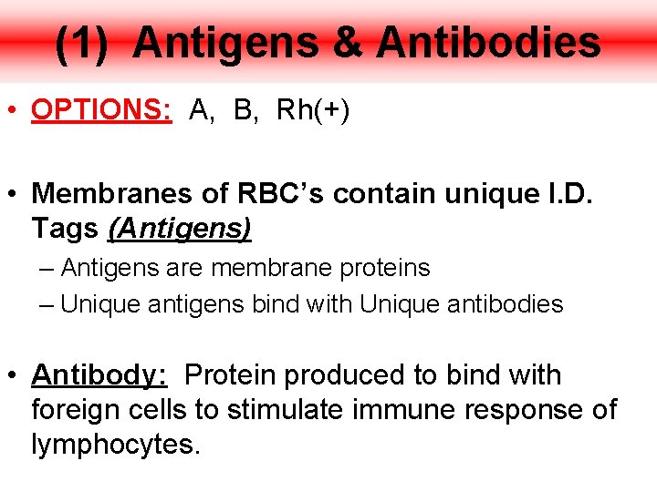 (1) Antigens & Antibodies • OPTIONS: A, B, Rh(+) • Membranes of RBC’s contain