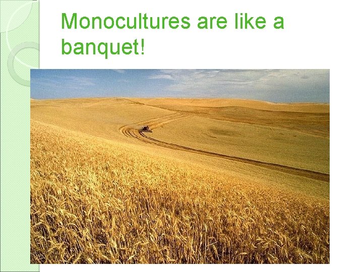 Monocultures are like a banquet! 